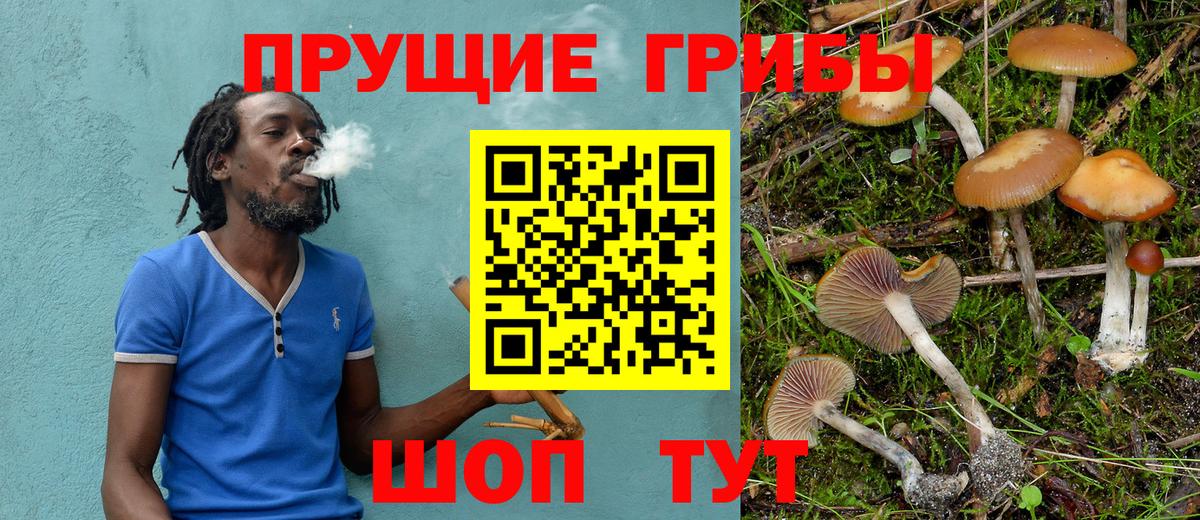 Галлюциногенные грибы прущие грибы Советский